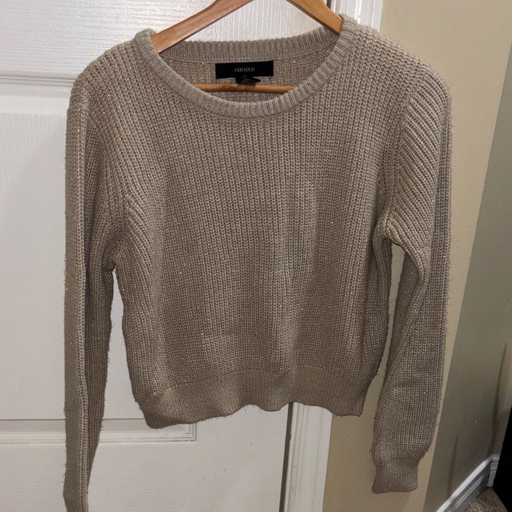 Brown Sweater (has gold glittery fabric)